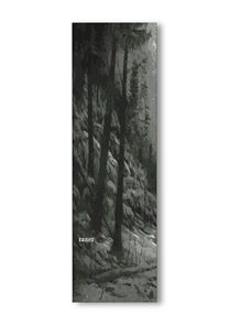 Шкурка для трюкового самоката TRUST Forest 7х24 Skintrust-Forest