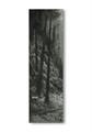 Шкурка для трюкового самоката TRUST Forest 7х24 Skintrust-Forest